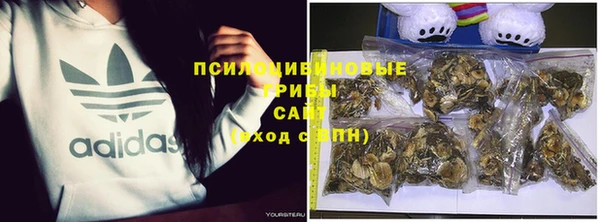 меф Горняк