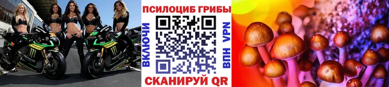 Псилоцибиновые грибы ЛСД Дербент